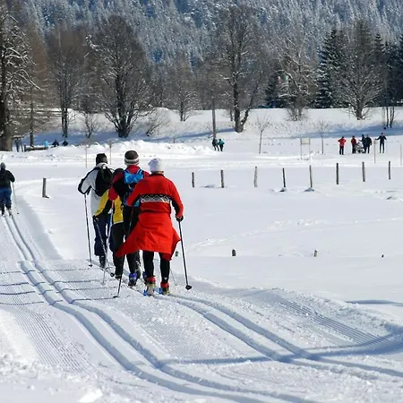 Hotell Tischlbergerhof Ramsau am Dachstein