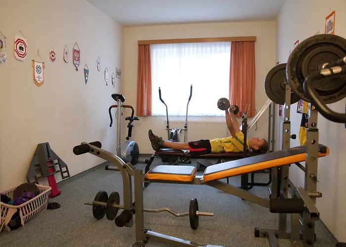 فندق Tischlbergerhof رامساو أم داتشستين